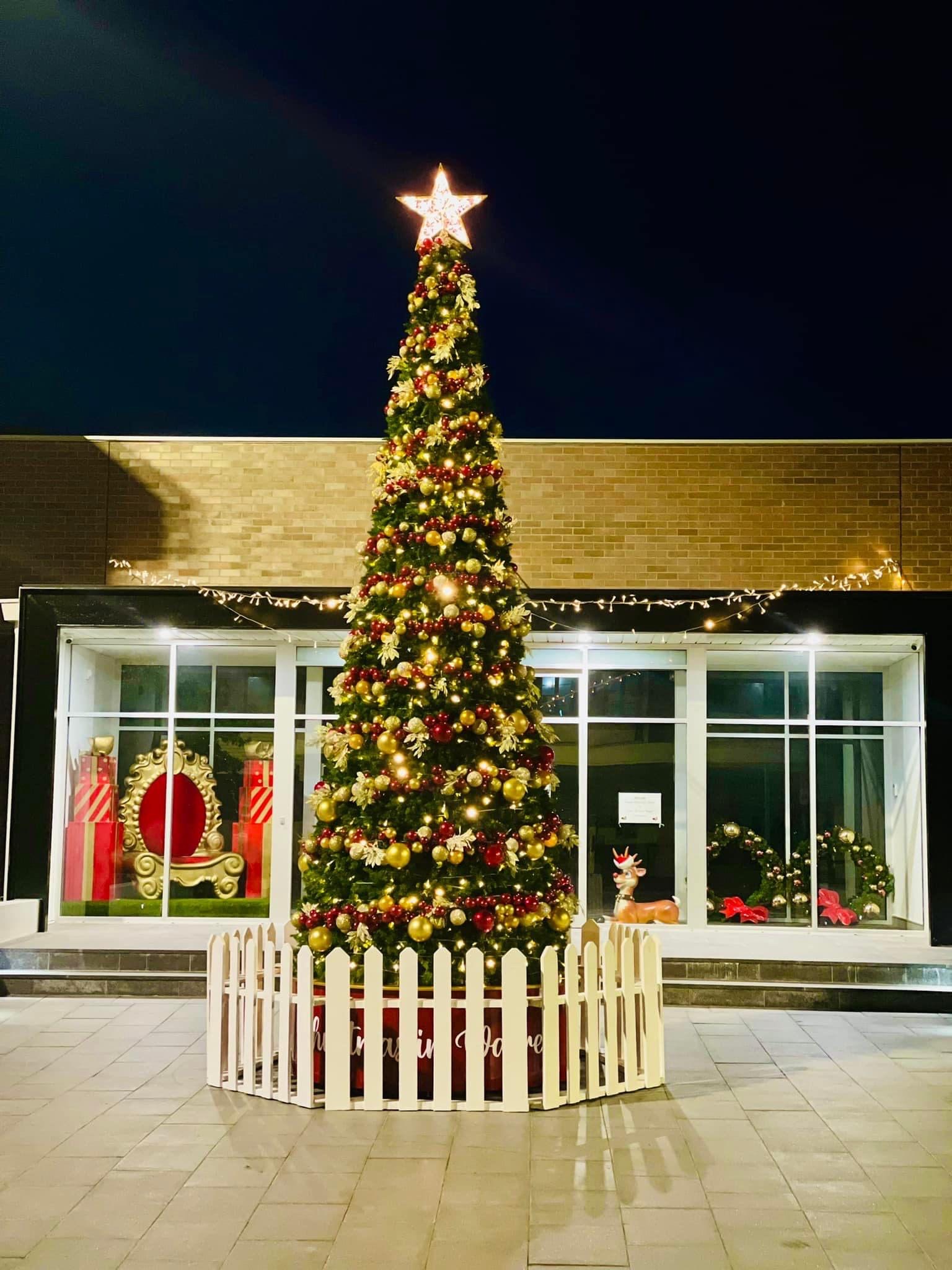 Warren Shire lights up Christmas - Post Image